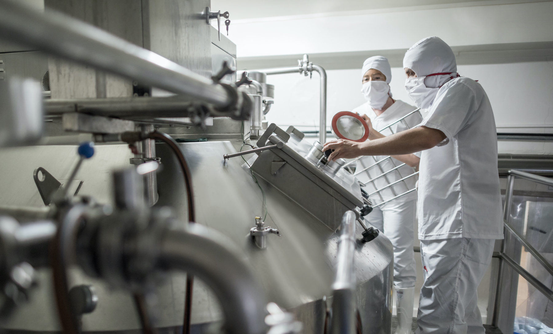 People working at a dairy factory