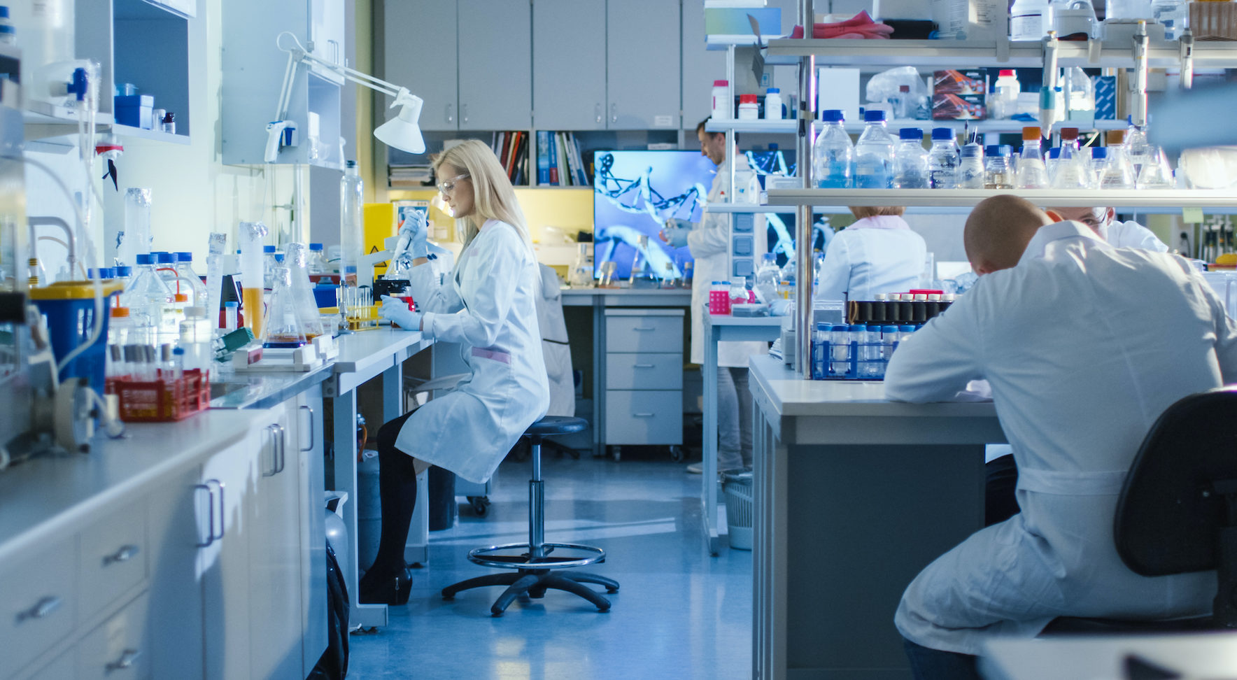 Scientists working in lab